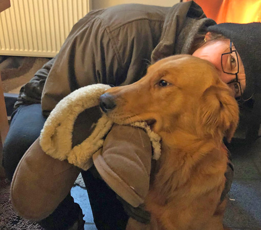Kasimir entdeckt die Welt der Regeln