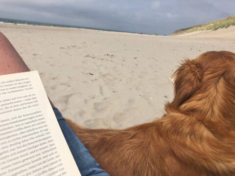 Urlaubsbekanntschaften machen