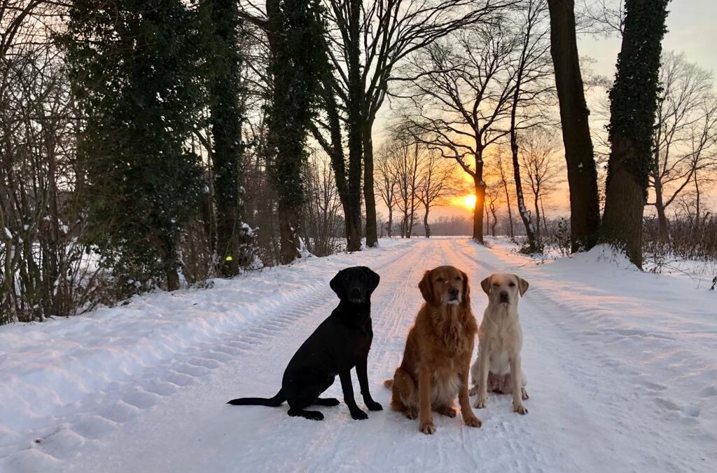 Winterwonderland