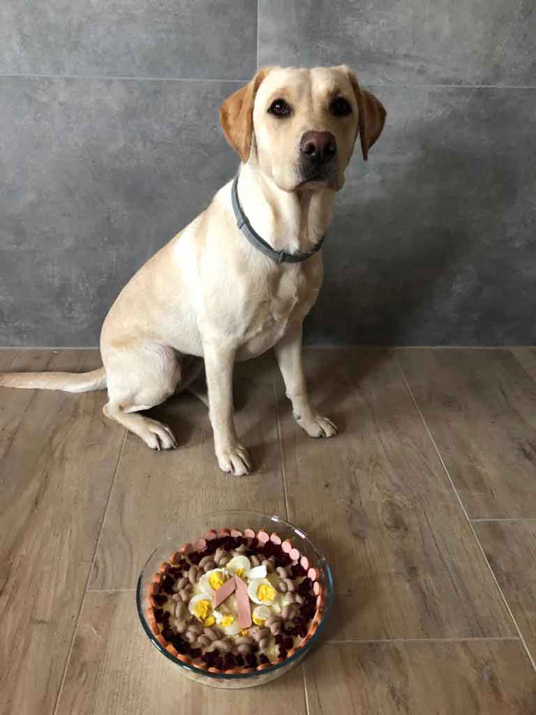 Geburtstag