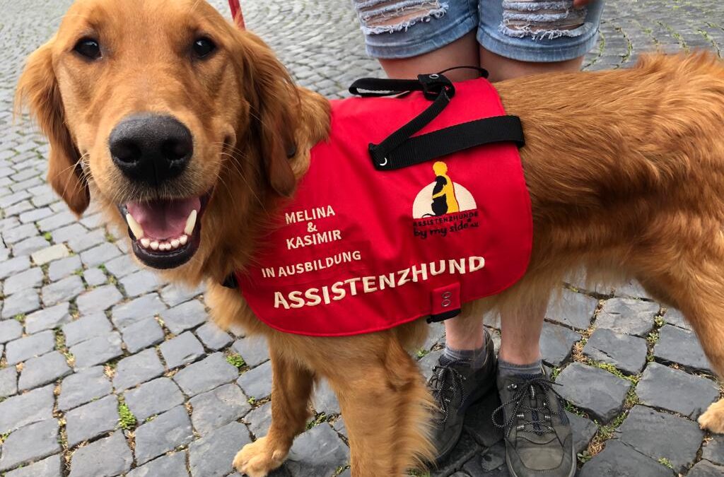 Kasimir in neuer Weste