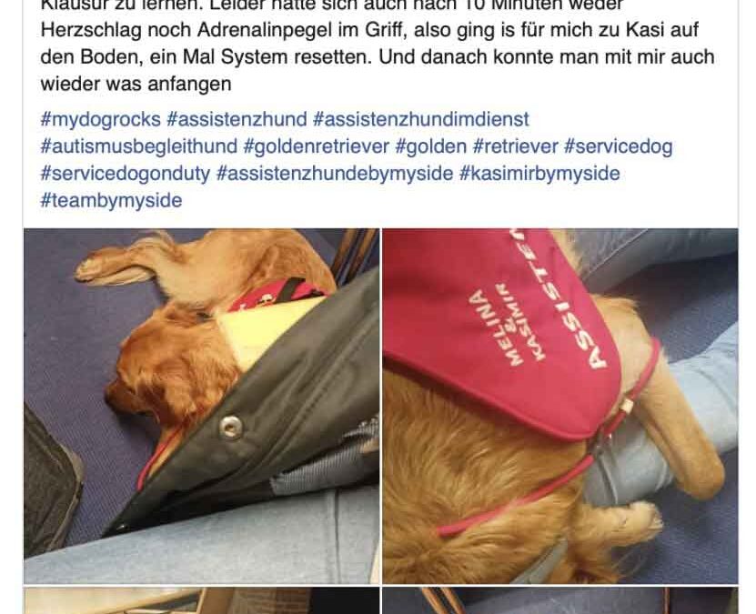 Kasi, der Superheld!!!