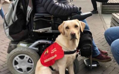 Gerlinde & der Gelbling