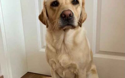 Happy Birthday Happy