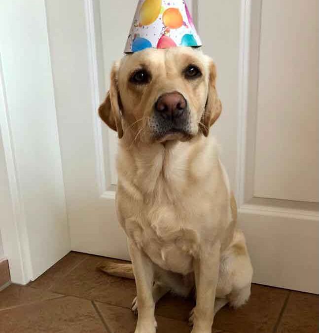 Happy Birthday Happy