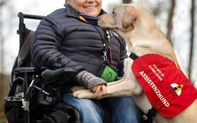 Heute ist TAG DER ASSISTENZHUNDE 2022