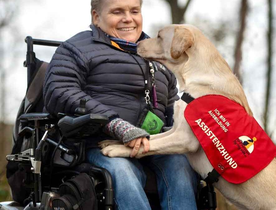 Heute ist TAG DER ASSISTENZHUNDE 2022