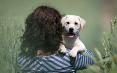 Wie finanziert sich ein Assistenzhund?