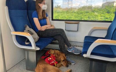 ⚠️⚠️Nicht streicheln, nicht anfassen und vor allem NICHT LOCKEN‼️