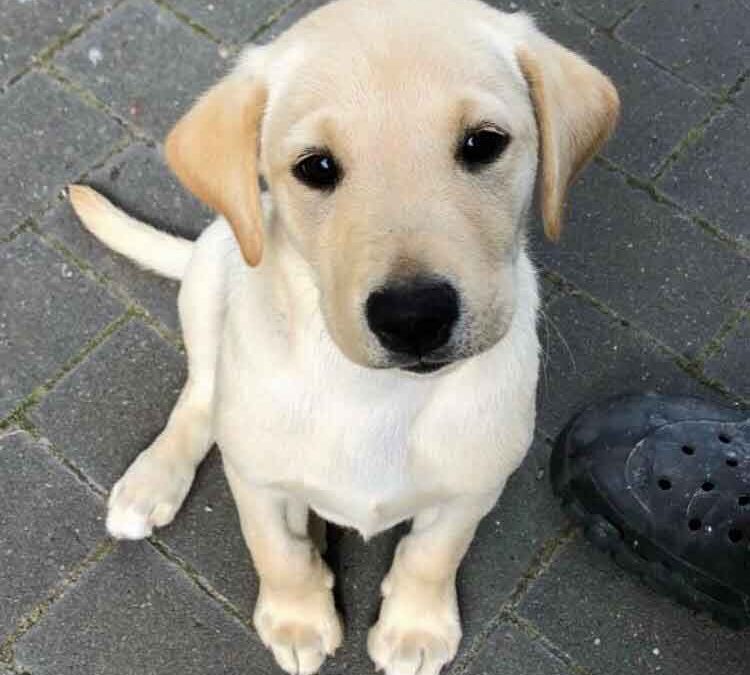 Ella est la!