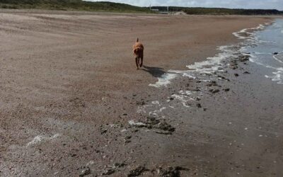 Kasi und Melina machen Urlaub