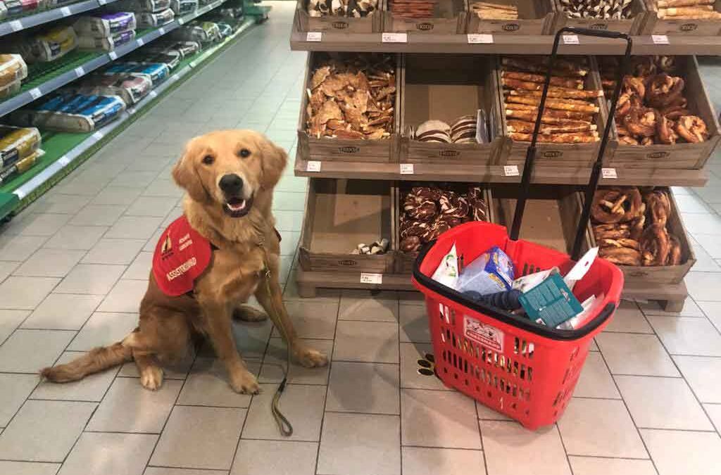 Ein Hund im Supermarkt?? — Ja, das geht!