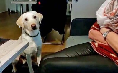 Lars lernt viel Neues