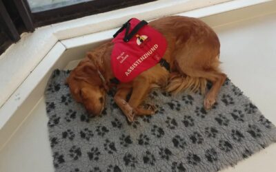 Melina und Kasi, die Studenten