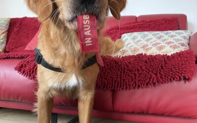 In Ausbildung war gestern …