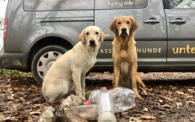 Unsere Blauen Engel sind unterwegs 😇