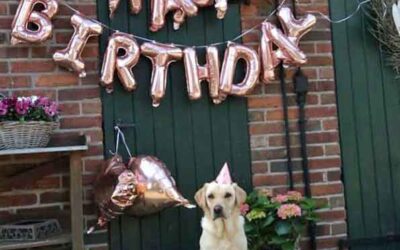 Happy Birthday Happy