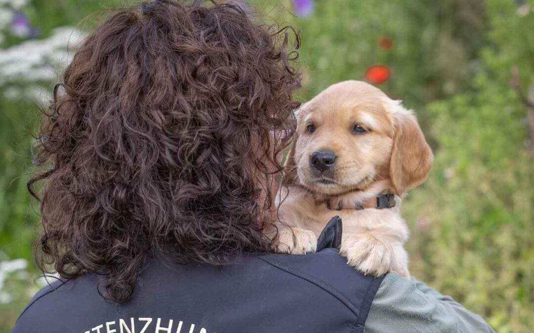 ONLY by my side ist gefunden! ✅ 🐾