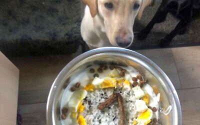 Happy Birthday, kleine Ella 🥰