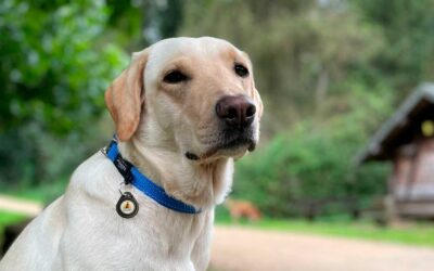 Unser Weihnachtsgeschenk