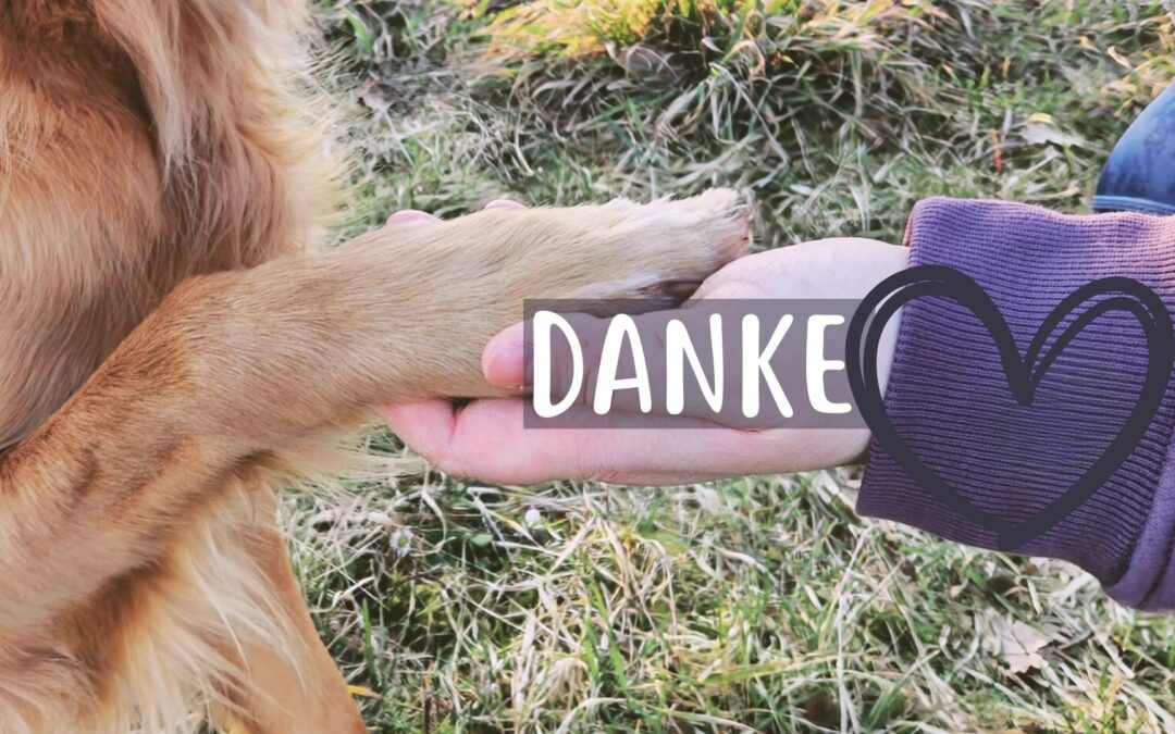 Danke, dass ihr da seid!