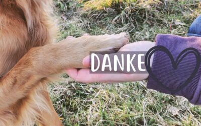 Danke, dass ihr da seid!