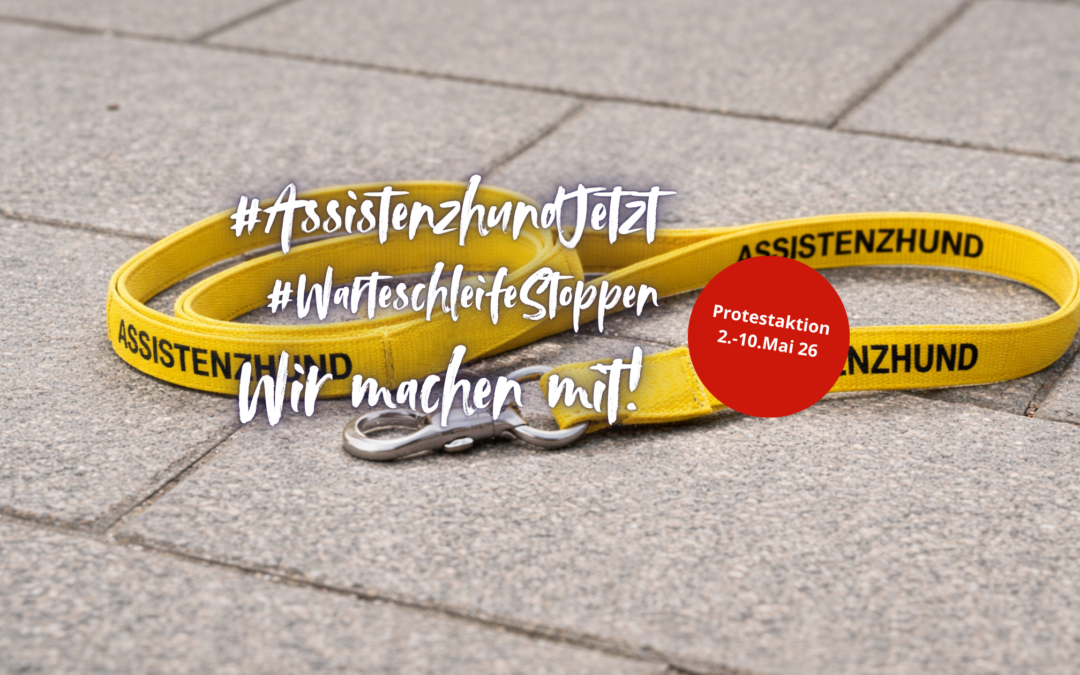 Assistenzhundeteams in der Warteschleife