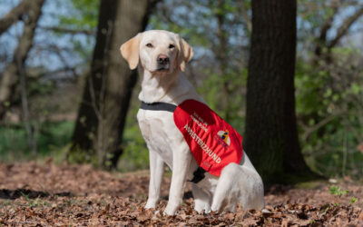 Fotoshooting mit Timmy und Hope