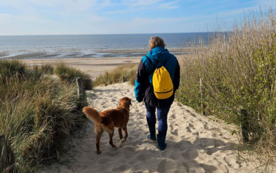 Wenn Herzenswünsche wahr werden
