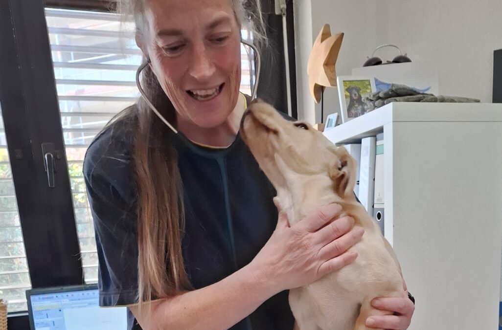Jagger besucht Tierärztin Linda Kampmann