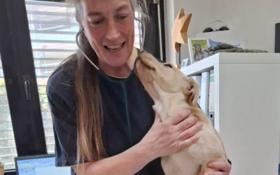 Jagger besucht Tierärztin Linda Kampmann